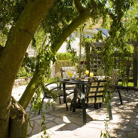 Sapience Retreat & Apothecary-3