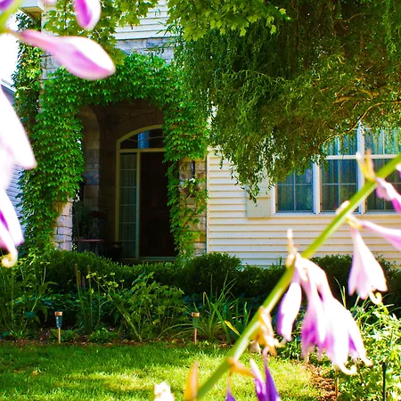 Sapience Retreat & Apothecary-2